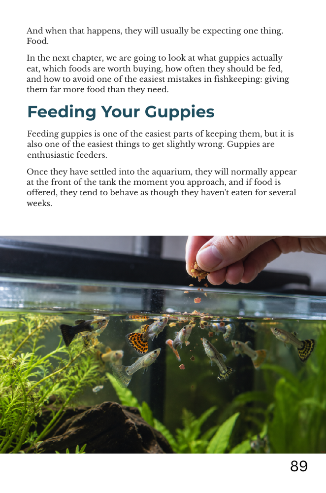 Actual page 89: Feeding Your Guppies