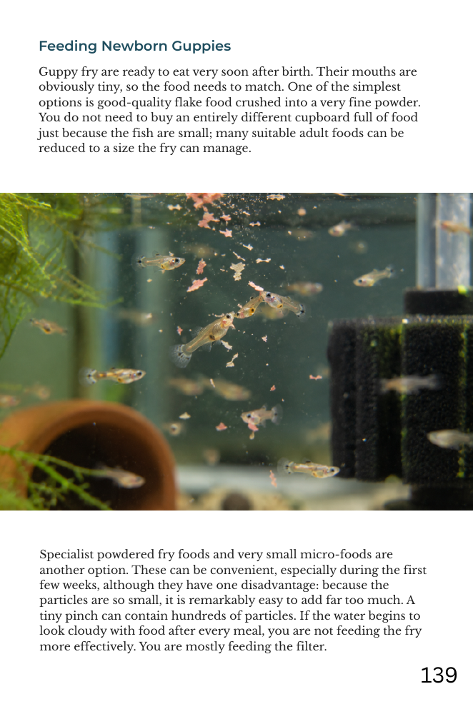 Actual page 139: Feeding Newborn Guppies