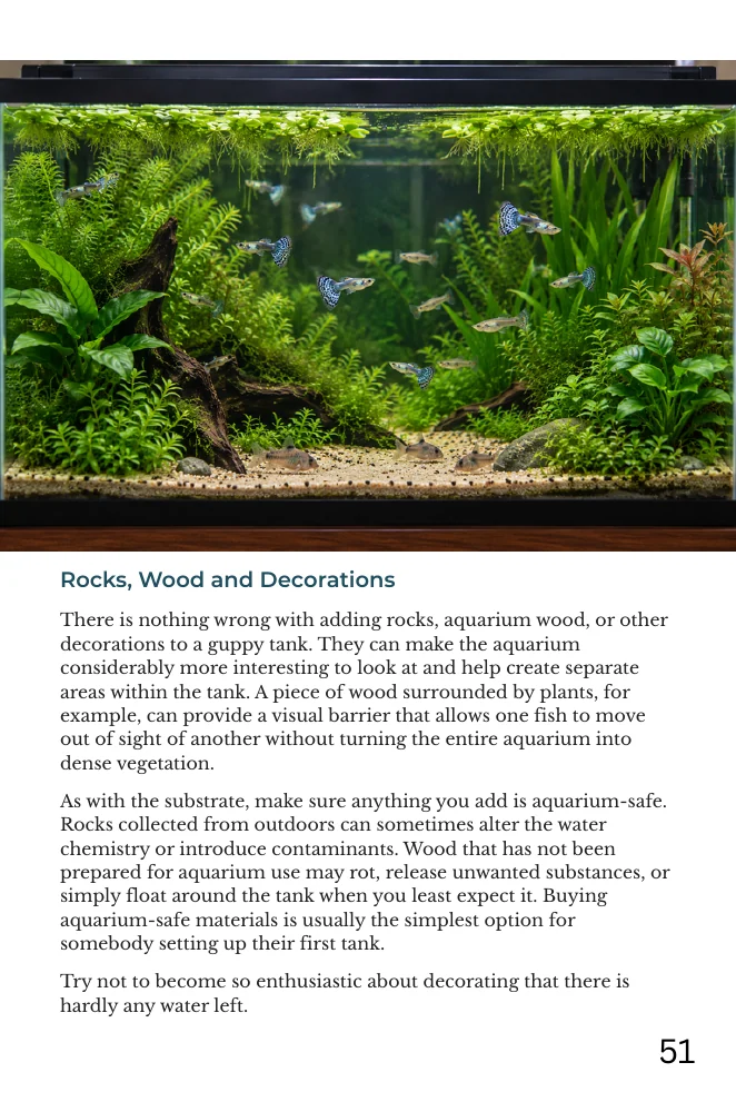 Actual page 51: Rocks, Wood and Decorations, with a planted guppy aquarium